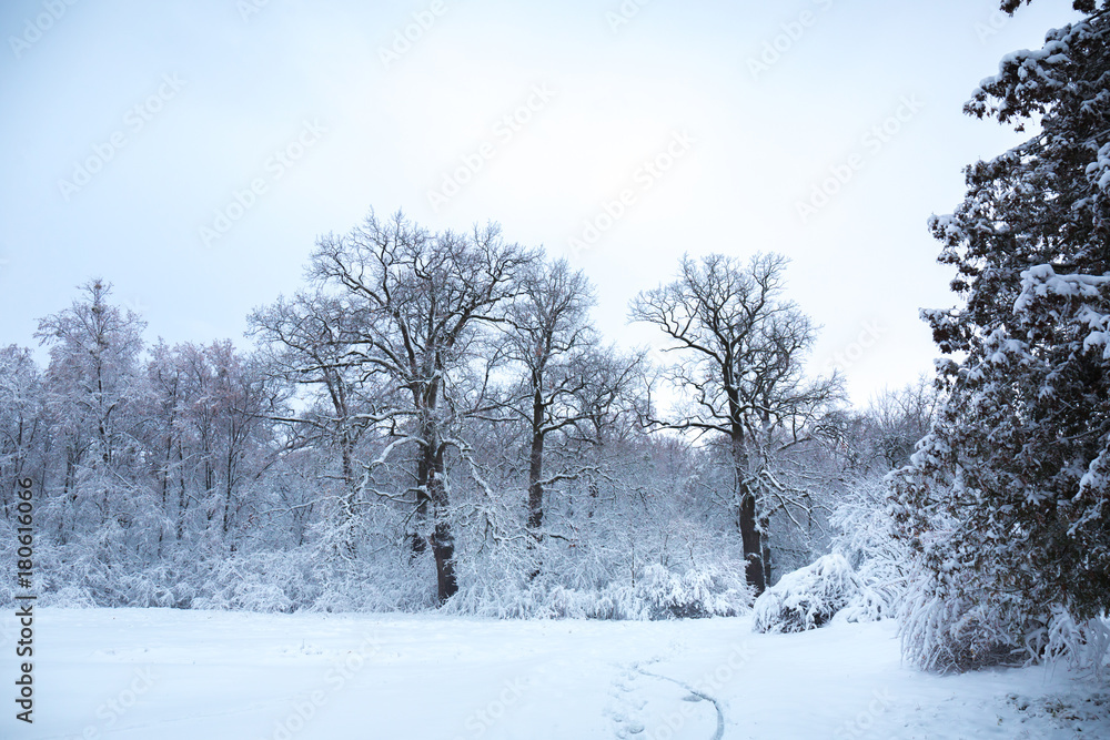 Winter with a snowfall