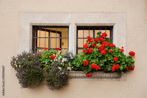 Beautiful old European wooden windows with iron grilles decorated with flowers © fesenko