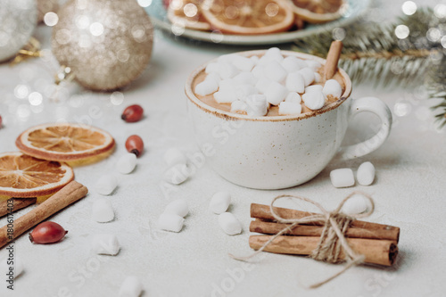 Christmas still life with cocoa, marshmallows, cinnamon and fir branches. bright and festive