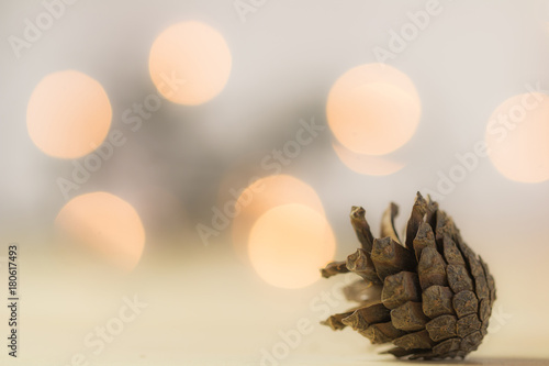 Tannenzapfen mit weichem Lichter Bokeh