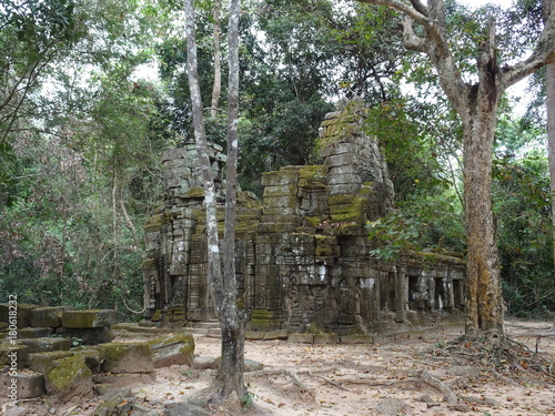 Ancient ruin at Ta Prohm Temple in Siem Reap  Cambodia
