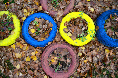 flower pots made by car tire photo