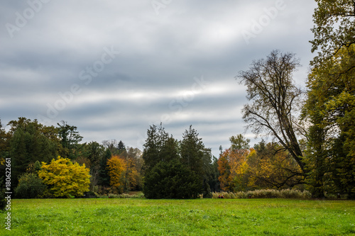 Park near castle at autumn in Krasiczyn  Podkarpackie  Poland