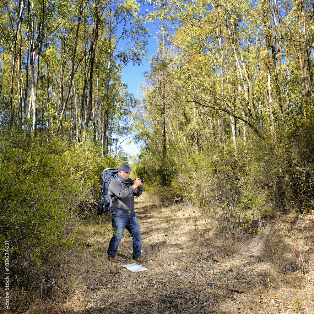 Hiker taking pictures in a forest. Hiker taking pictures in a forest.