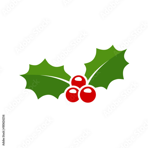 Holly berry leaves Christmas icon. Vector illustration photo