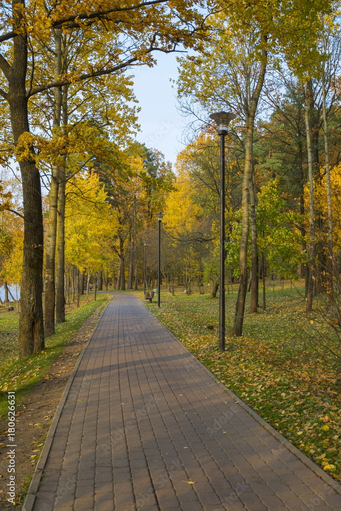 Autumn city park, Minsk, Belarus