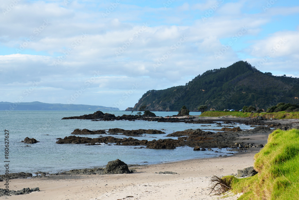 Coromandel coast in New Zealand