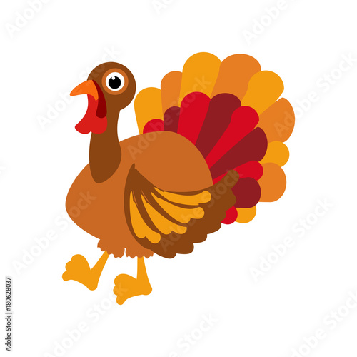 Thanksgiving turkey illustration