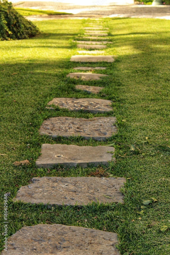 Stone path in a garden