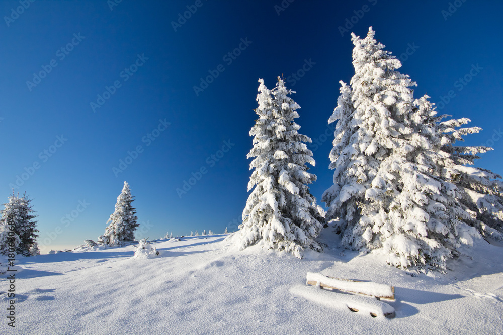 Winterwunderland Winterwunderland