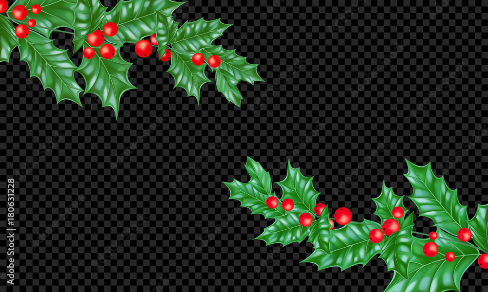 Christmas holiday greeting card background template New Year fir or pine tree branch and holly leaf wreath. Vector Christmas or New Year decoration design on transparent luxury black