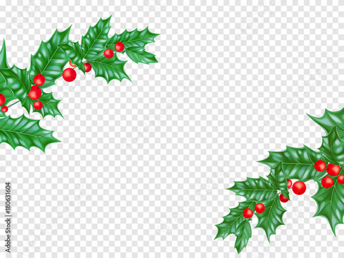 New Year or Christmas greeting card background template of fir or pine New Year tree branch and holly leaf wreath on premium white transparent. Vector Christmas or New Year winter holiday decoration