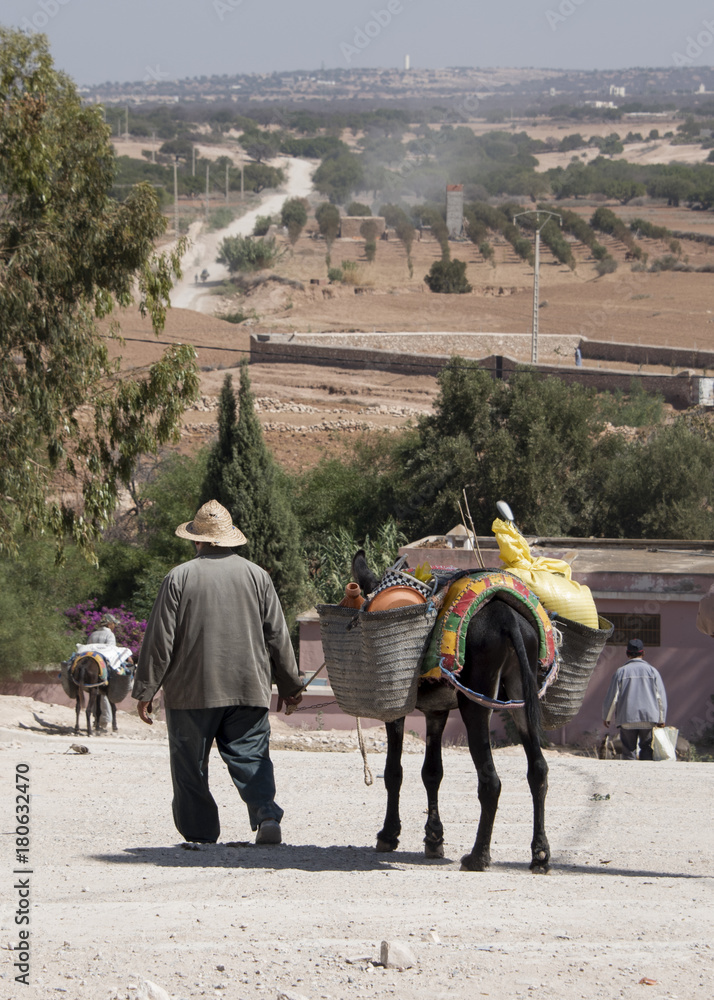 An old man leading his grocery laden donkey away from the weekly berber open market a short way from Essaouria in Morocco - Portrait