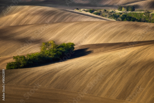 Tableau sur toile Moravian fields, Moravia, Czech Republic, around the village Kyjov