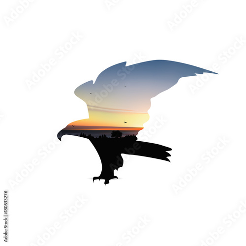 Silhouette of eagle with palm trees  sea horizon and colorful sky.