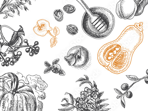 Sketch Illustration for the Thanksgiving Day with promos, fruits, berries.