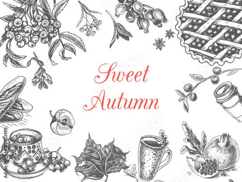 Autumn illustration, sketch - seasonal food, fruits, vegetables, pastries