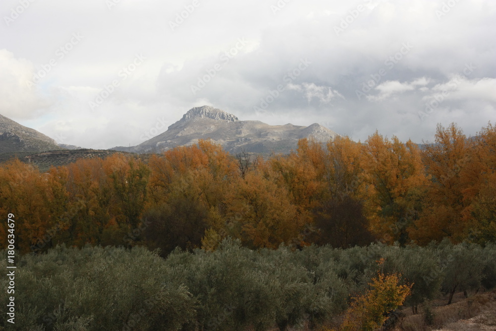 Campos de Granada