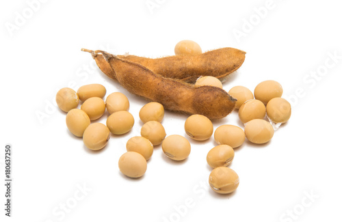 dry soy beans isolated
