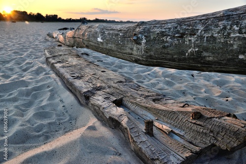 Obraz na płótnie sunset and wooden logs on the beach brought by the water w salonie