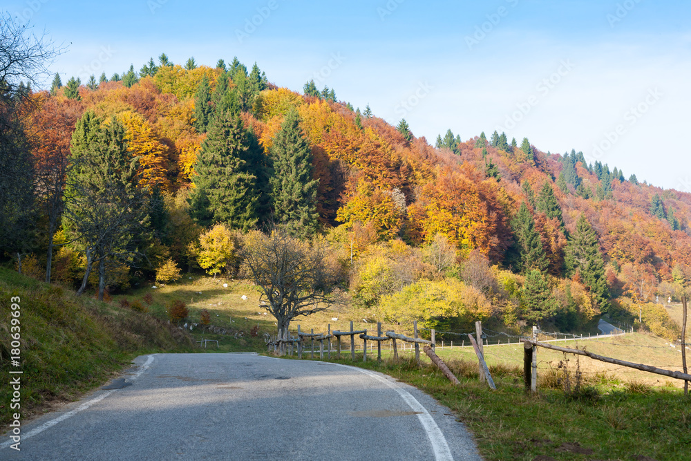 Obraz premium Autumn mountain landscape
