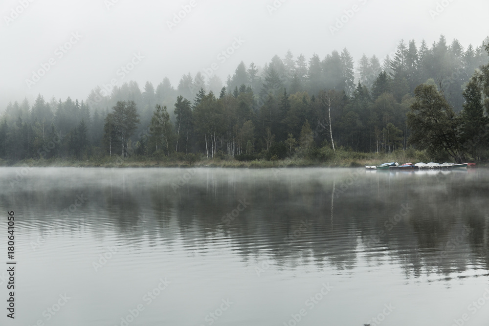 Landschaft spiegelt sich im See bei Nebel