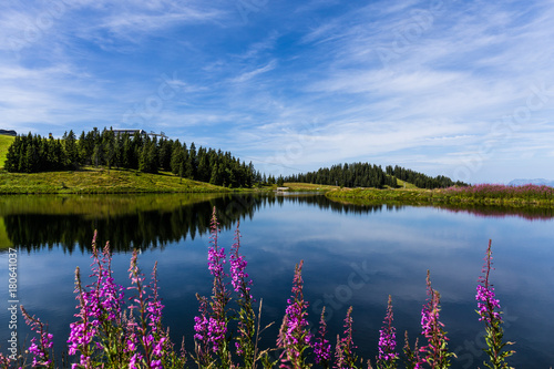 See am Berg mit Blumen im Vordergrund und blauem Himmel © christophstoeckl