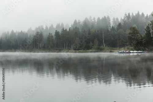 Landschaft spiegelt sich im See bei Nebel