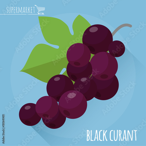 Black currant vector icon
