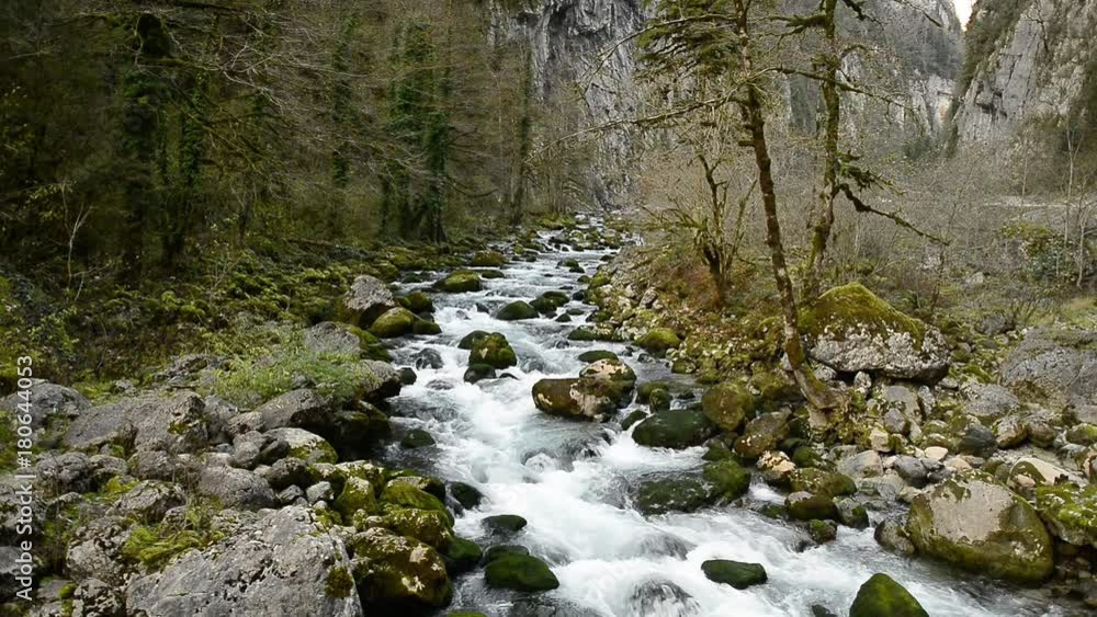 Mountain streams. Water ripples. Surface of the water. Mountain streams. Water ripples. Surface of the water.