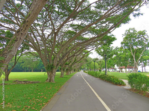Canvas Print Photo taken in Singapore. East Coast Park Singapore