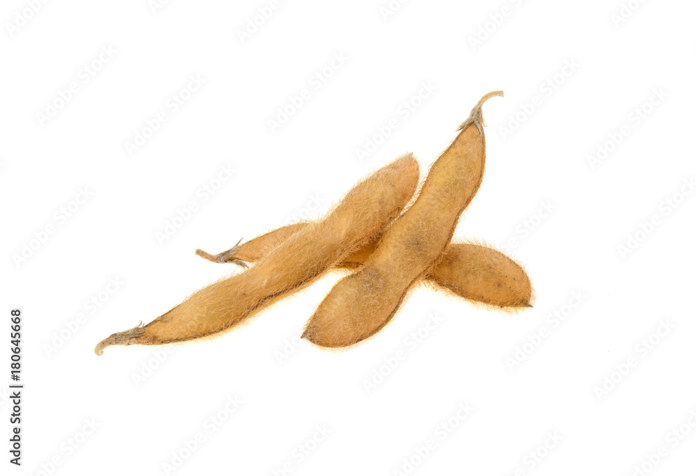 Fototapeta premium soybean pods isolated on white background