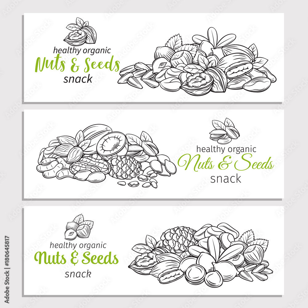 hand drawn sketch nuts and seeds