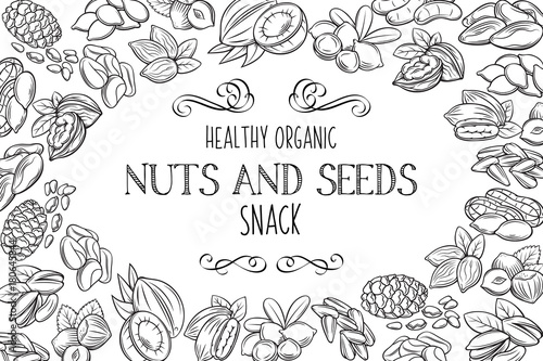 hand drawn sketch nuts and seeds