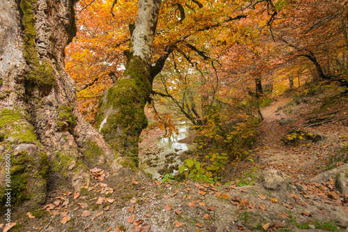 Autunno in Abruzzo photo