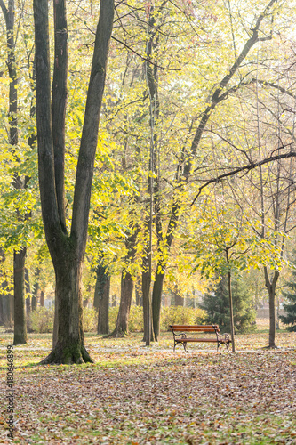 Autumn day in the park with fallen leaves and a wooden bench