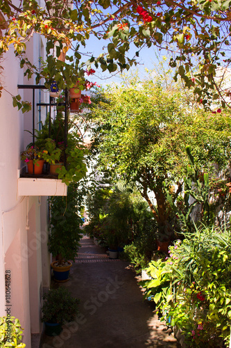 Street. Beautiful Spanish street. Costa del Sol, Andalusia, Spain.