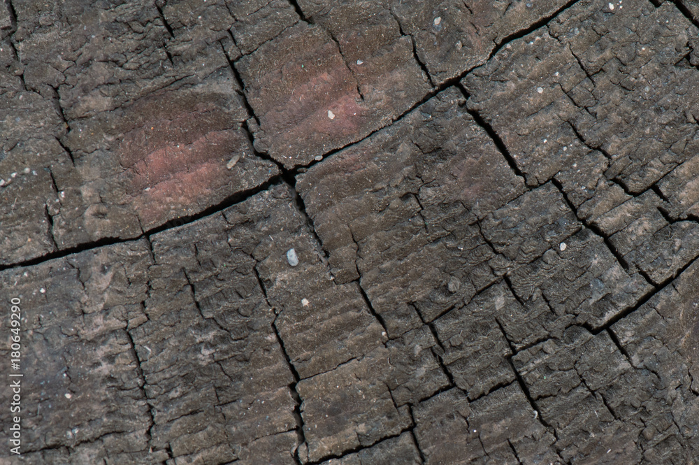Front view of dark grey old timber texture or background. Copy space. Place for text. graphical resource Front view of dark grey old timber texture or background. Copy space. Place for text. graphical resource