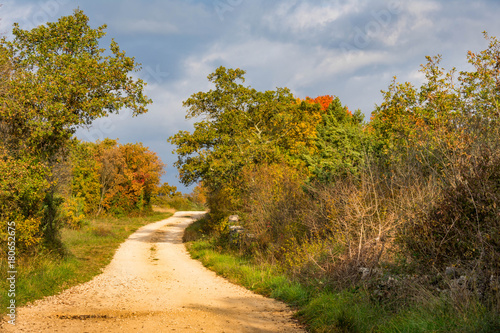 Country road in autumn on a cloudy day, colorful groves, picturesque scenery from Istria region in Croatia
