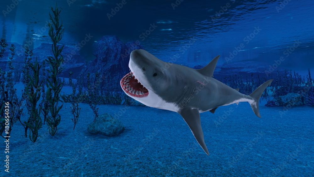 Fototapeta premium サメ