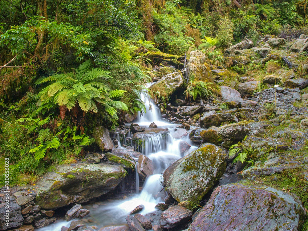 Overview of Waterfall in temperate New zealand rain forest