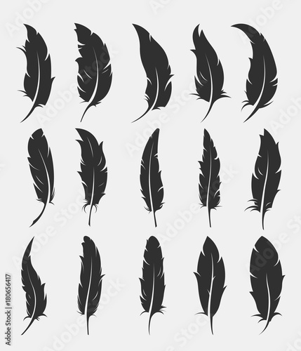 set of old feather for writing