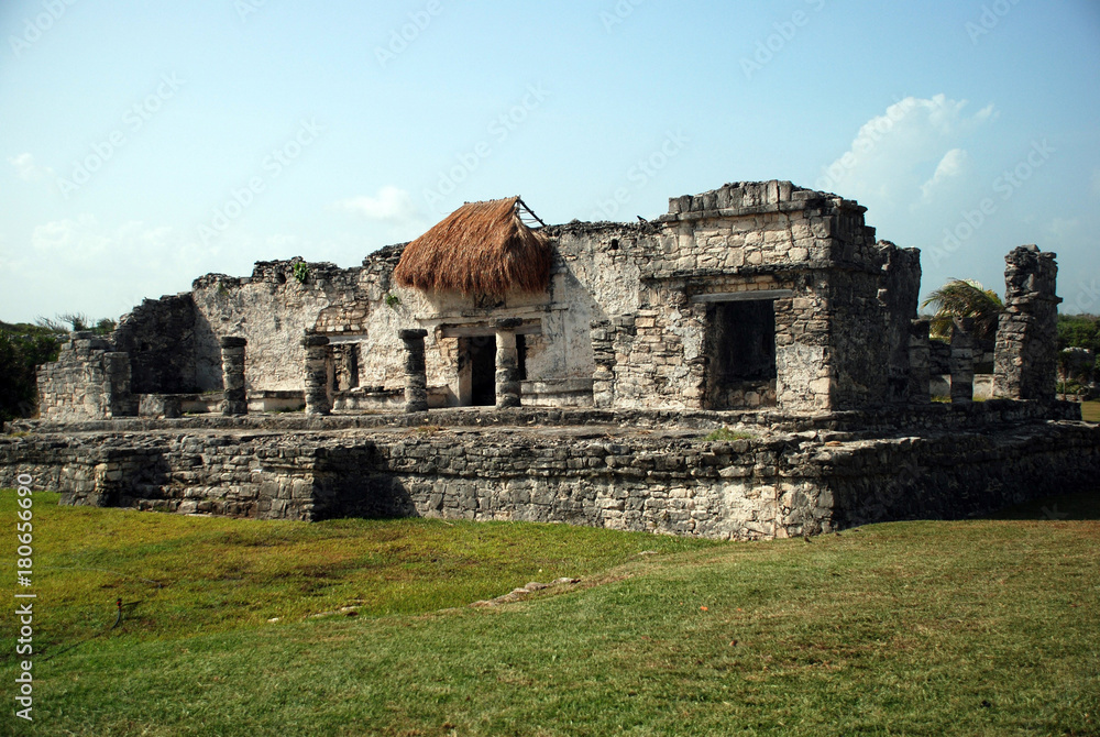 Landscape in Tulum Landscape in Tulum