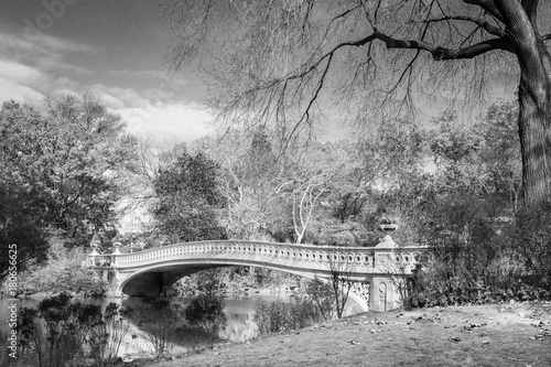 Scenic black and white rendering of Bow Bridge in Central Park New York City