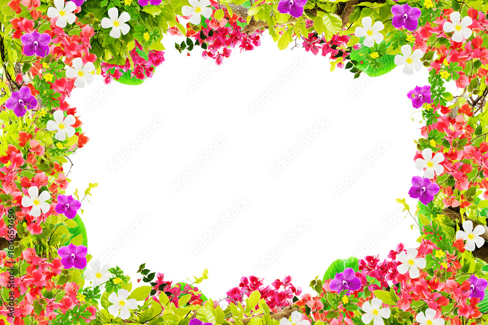 Beautiful green leaves frame with flower on white background Beautiful green leaves frame with flower on white background