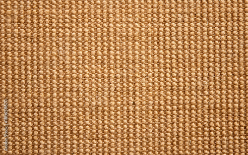 organic carpet from sisal for cat photo