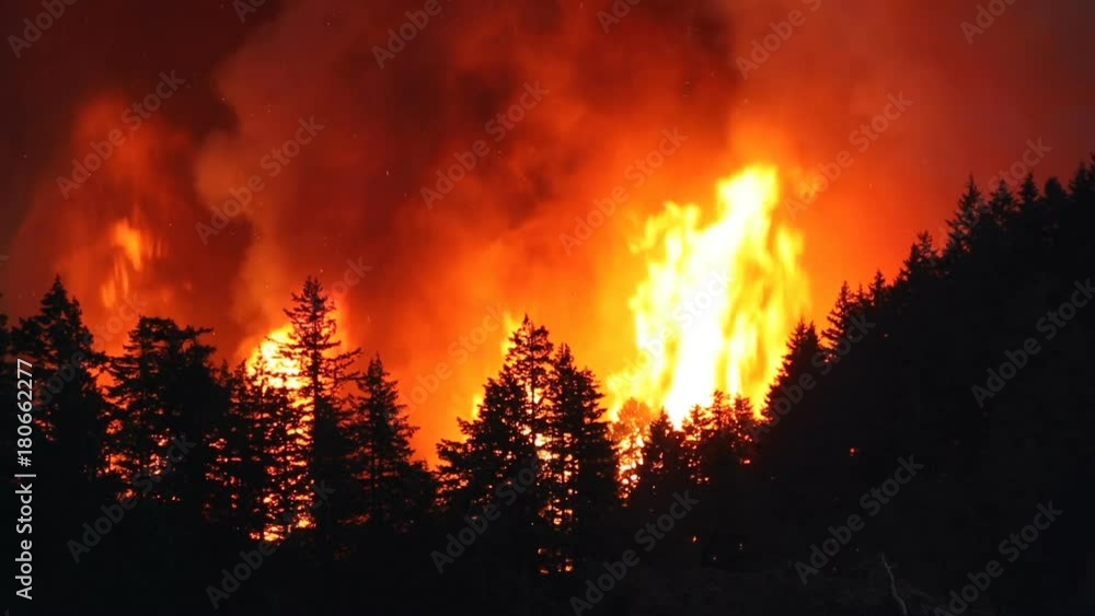 Large forest fire burns the tree covered side of a mountain near Portland Oregon Large forest fire burns the tree covered side of a mountain near Portland Oregon