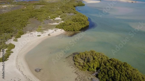 Wallpaper Mural Mangrove beach by the australian seaside Torontodigital.ca