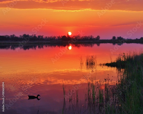 Red Sunset over pond