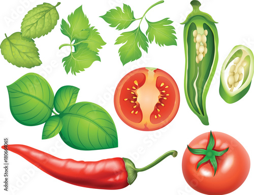 Different types of vegetables